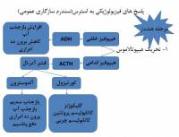 پاورپوینت استرس و مدیریت استرس